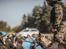 Vojenská policie by měla reflektovat potřeby AČR, a to jak v mírovém, tak ve válečném stavu