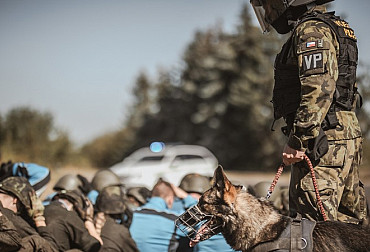 Vojenská policie by měla reflektovat potřeby AČR, a to jak v mírovém, tak ve válečném stavu