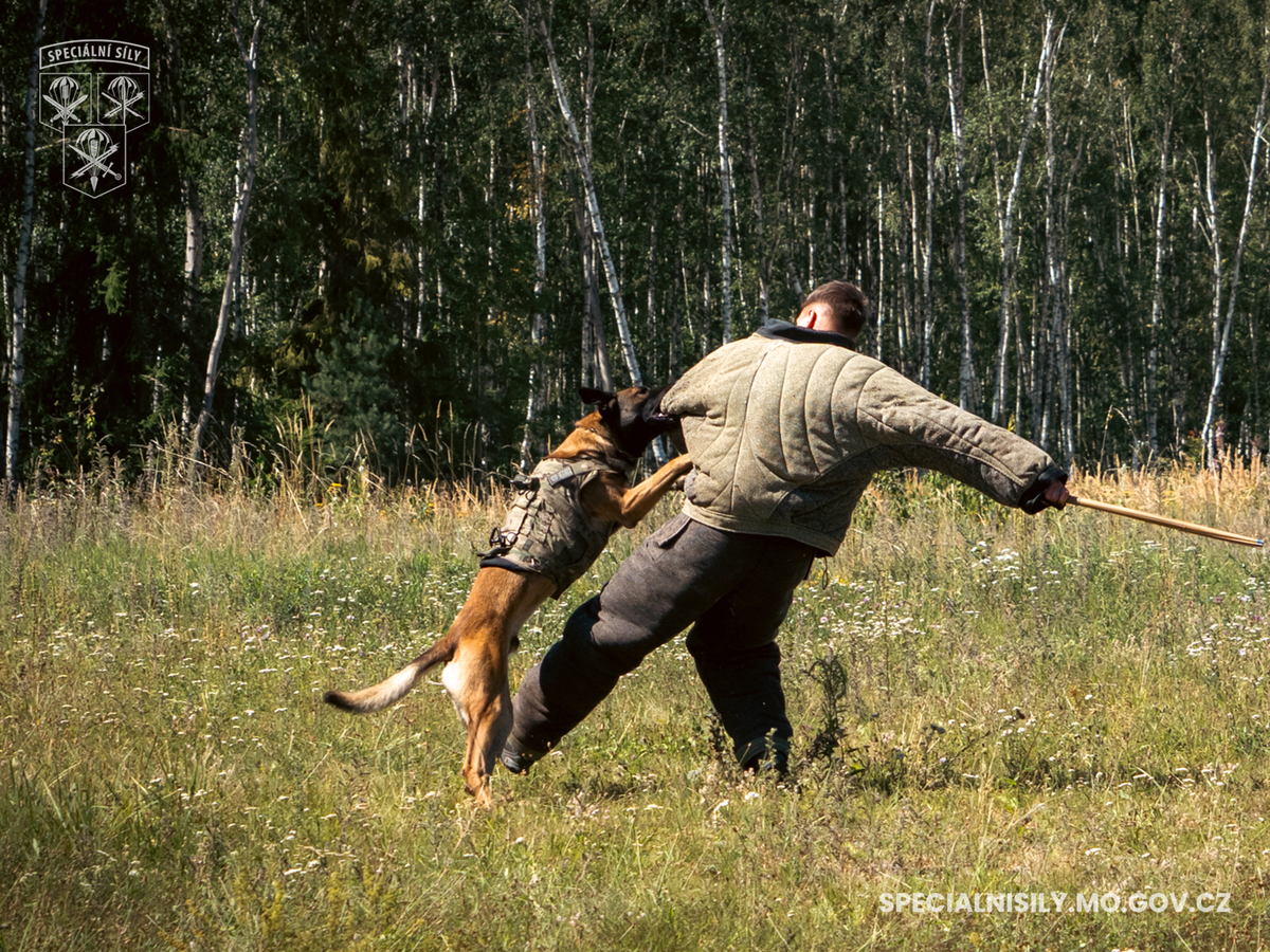 Foto: Přítomni byli také psovodi K9 | 601. skss