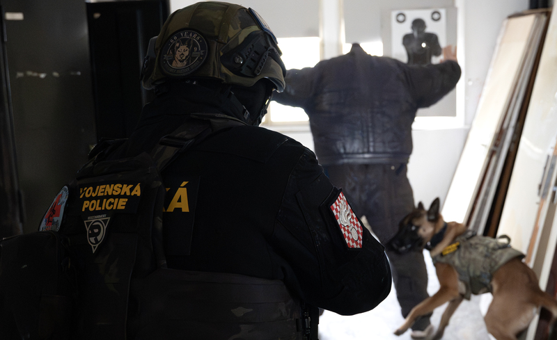 Foto: Zajištění podezřelého v budově | Michal Pivoňka / CZ DEFENCE